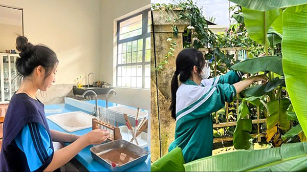 Đề tài của học sinh THPT Đơn Dương được chọn dự thi cấp Quốc gia Cuộc thi Sáng tạo Thanh thiếu niên, Nhi đồng