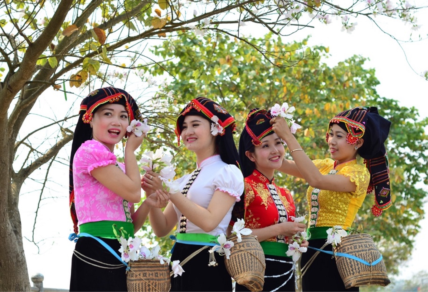 Phát triển văn hóa các dân tộc thiểu số trong chiến lược phát triển văn hóa Việt Nam