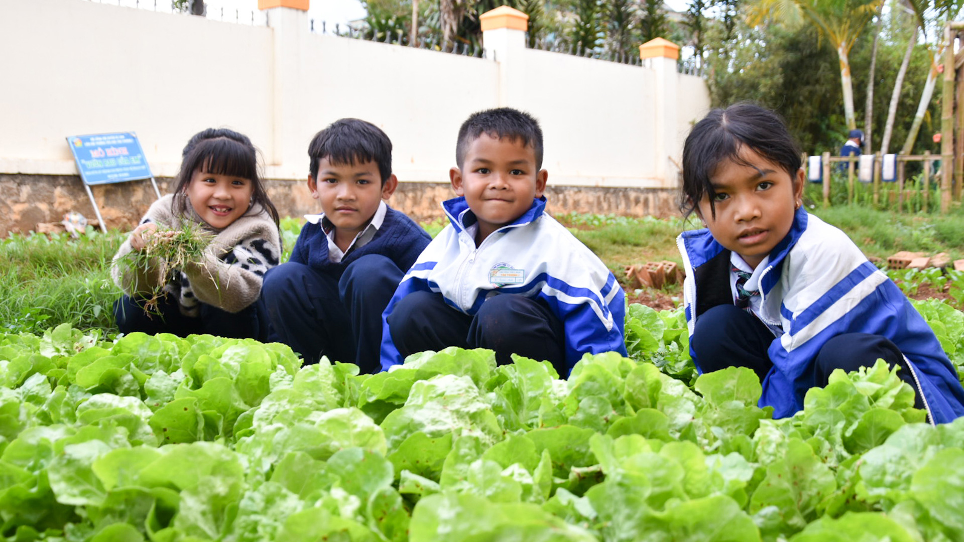 Dạy học gắn với trải nghiệm