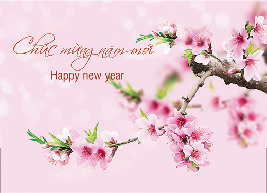 Thư chúc mừng năm mới của đồng chí Nguyễn Xuân Tiến - Ủy viên BCHTW Đảng, Bí thư Tỉnh ủy