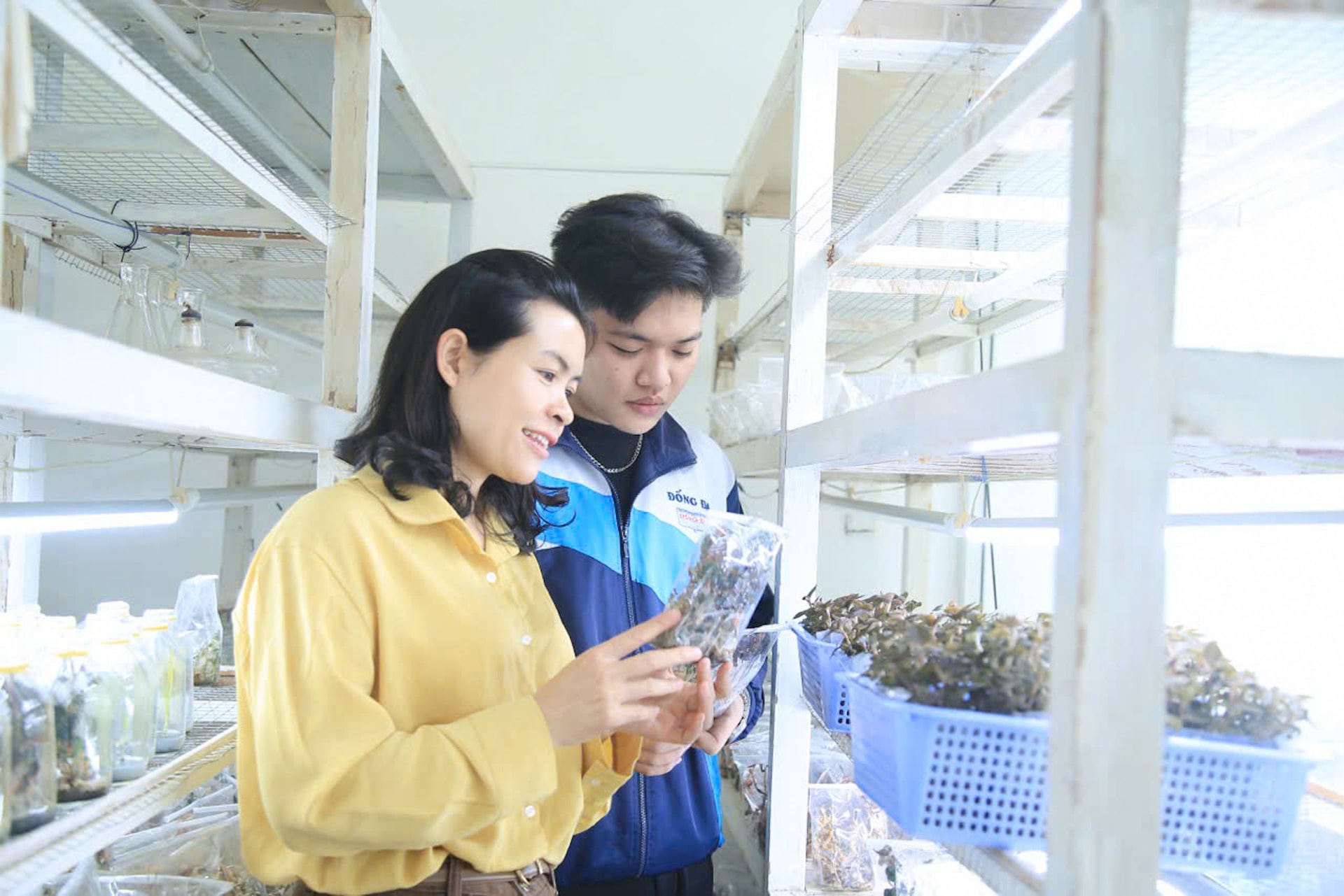 Cậu học trò phố núi thành công với đề tài bảo tồn lan kim tuyến